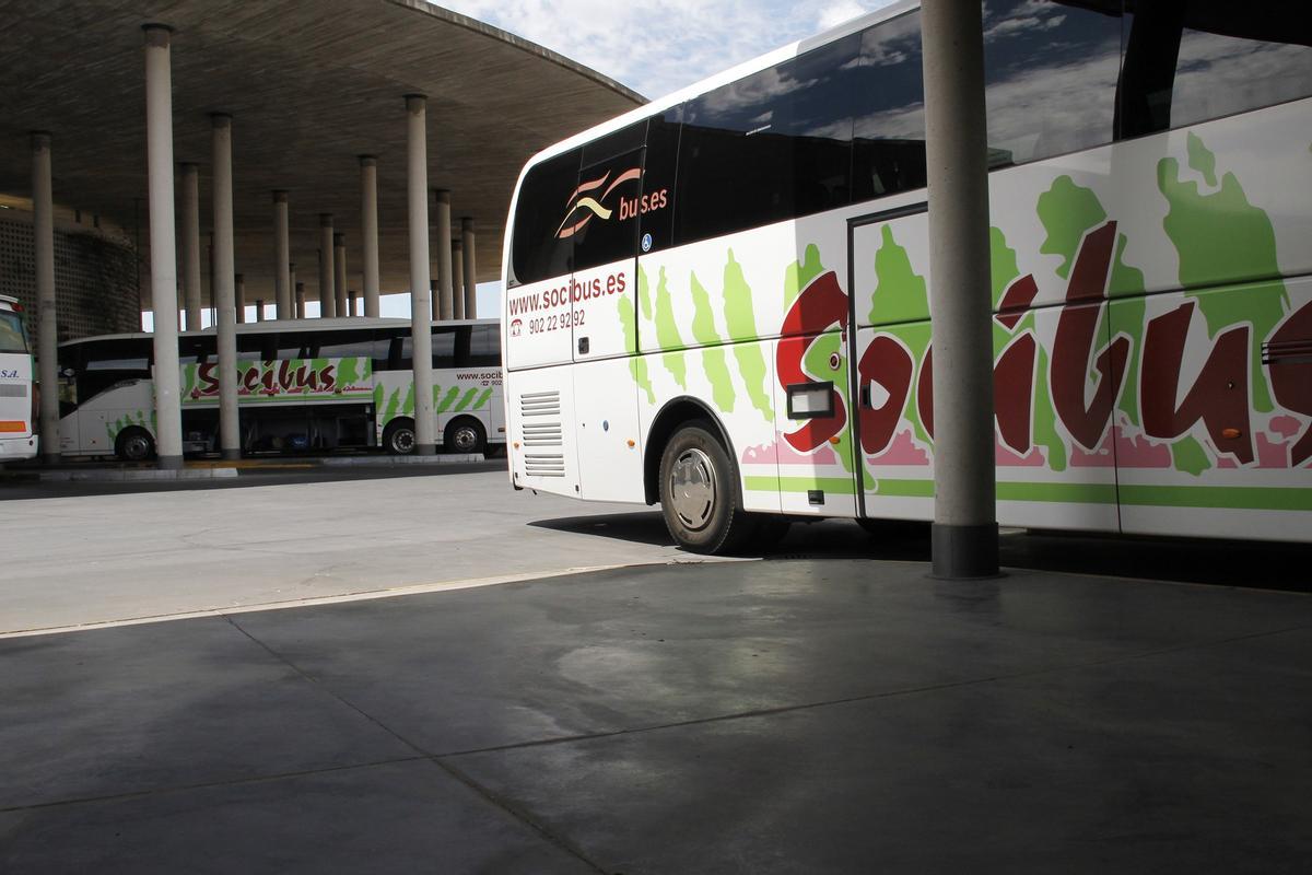 Socibus refuerza en verano sus conexiones entre Córdoba y la costa gaditana con 70 expediciones semanales.