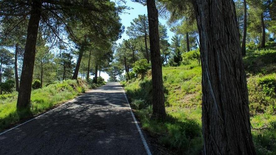 Una carretera de Sierra Espuña.