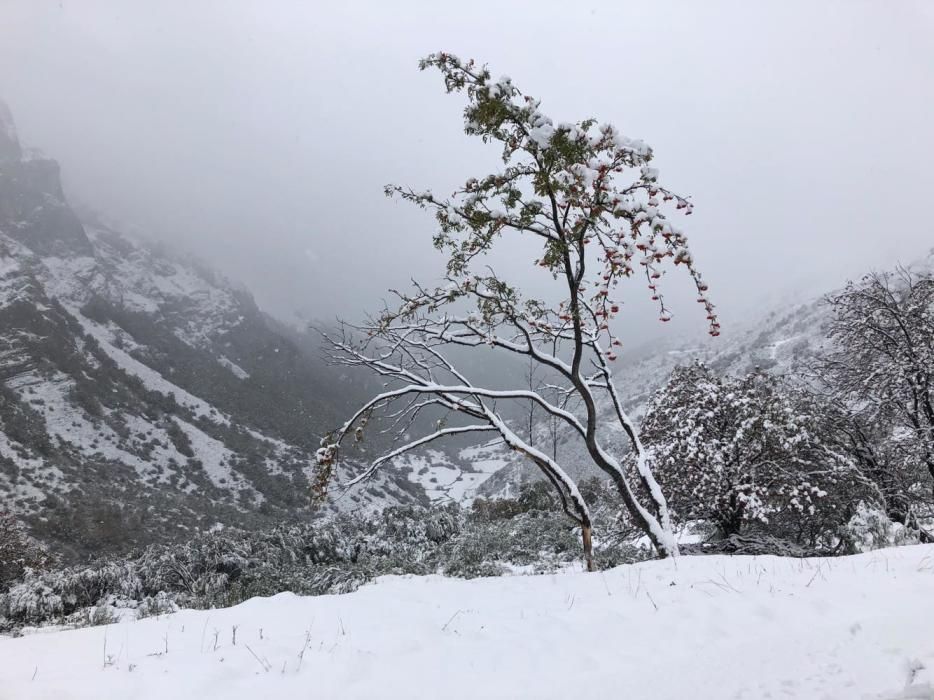 La nieve cubre las cumbres asturianas