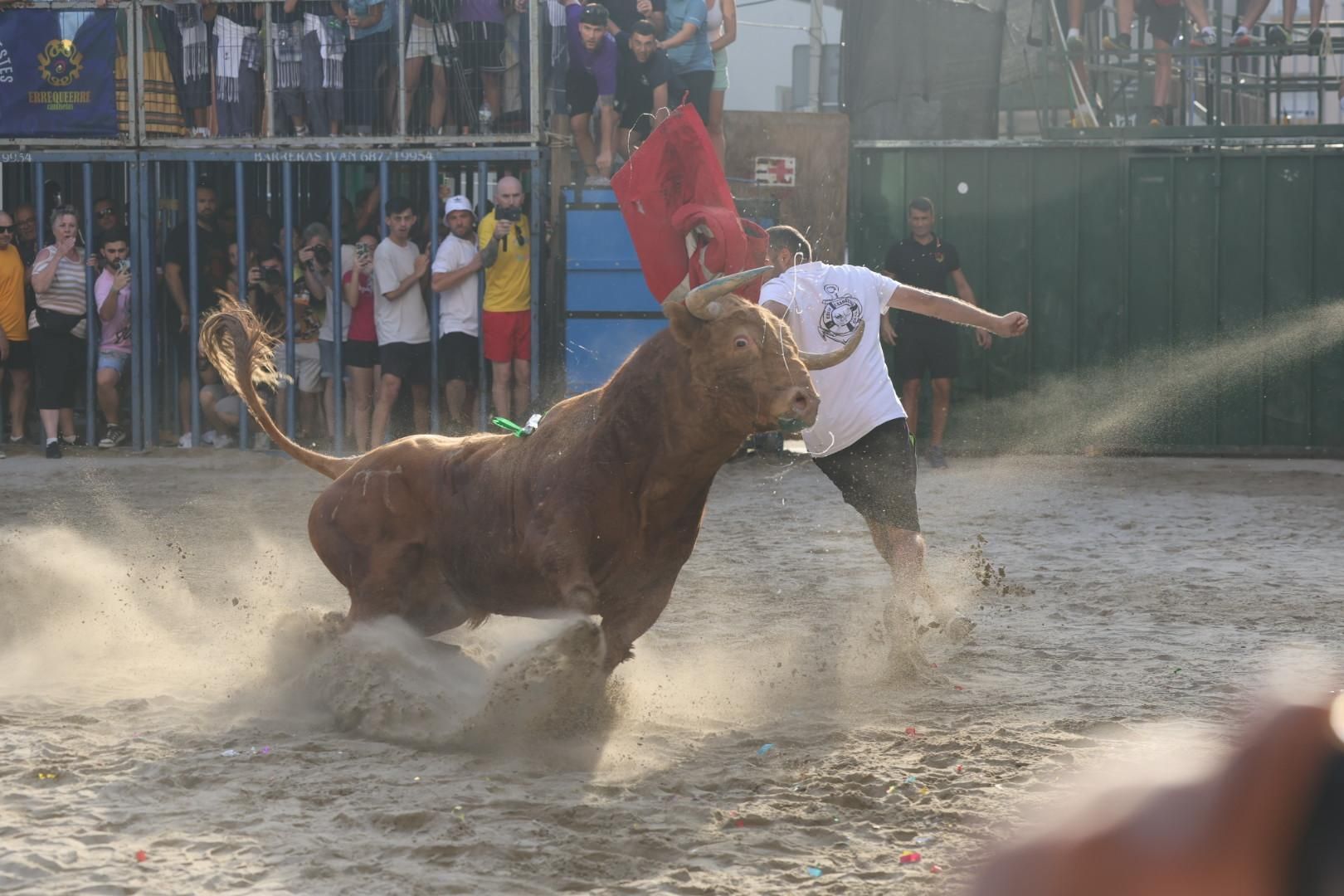 Galería | Intensa jornada taurina en Sant Pere 2025
