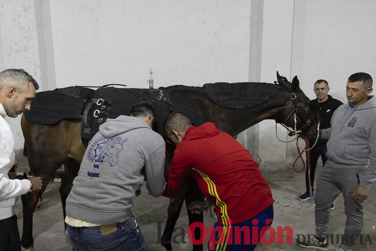 Caballos del vino/Vestir a un caballo_012