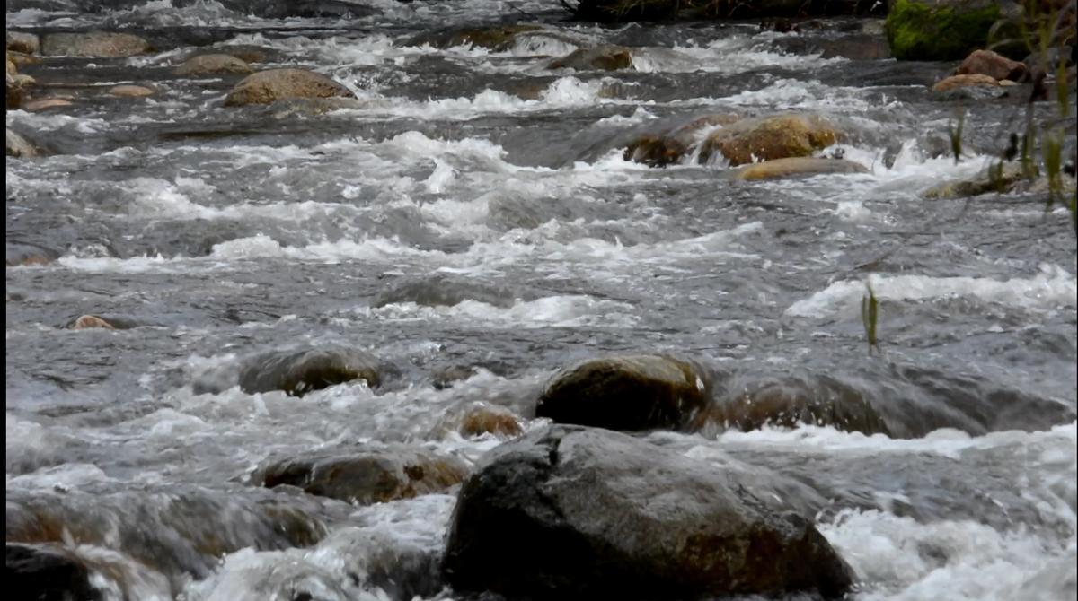 Fotogalería | Crecida del río Ambroz a su paso por Hervás después de las lluvias del martes 13 de enero Fotogalería | Crecida del río Ambroz a su paso por Hervás después de las lluvias del martes 13 de enero