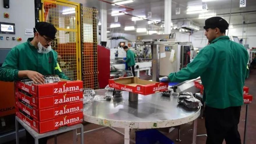 Extremadura abre ayudas de hasta 32.400 euros para contratar en cooperativas y sociedades laborales