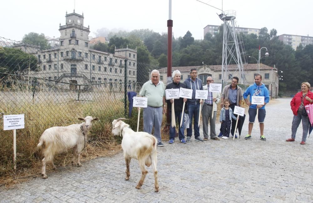 Cabras contra el abandono de la ETEA