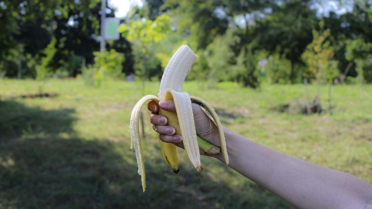 Estos son los beneficios de comerse un plátano después de hacer deporte.