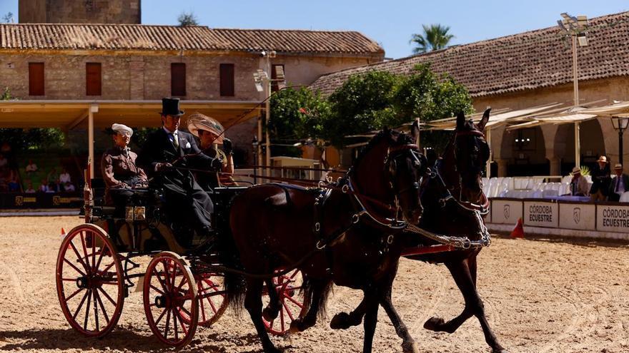 «Es un arte impresionante»: el enganche convierte Córdoba en un museo al aire libre