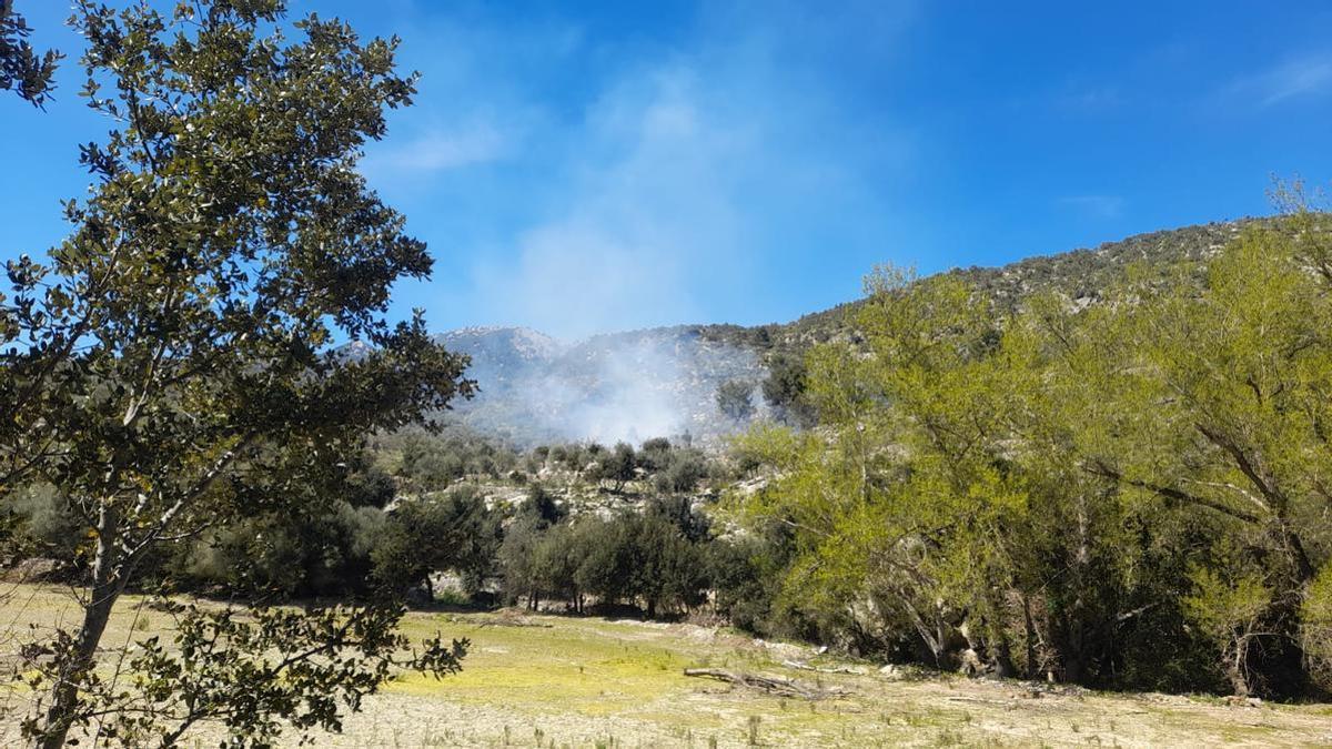 Imagen del lugar donde se ha declarado el incendio en Orient, en Bunyola.