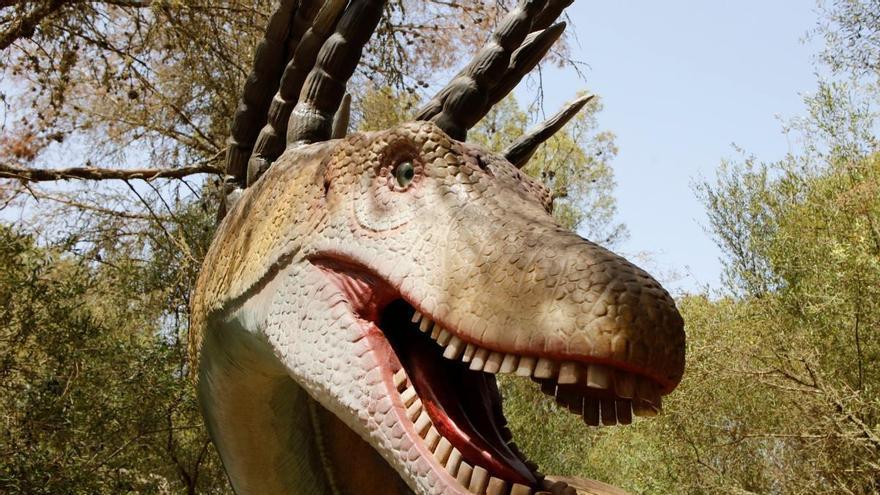 Los dinosaurios de Murcia existen, pero casi nadie puede verlos: el patrimonio paleontológico de la Región se marchita en cajones