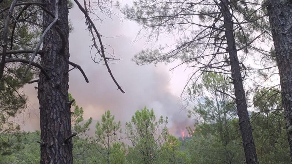 Imagen de esta mañana de la evolución del incendio en Las Hurdes.