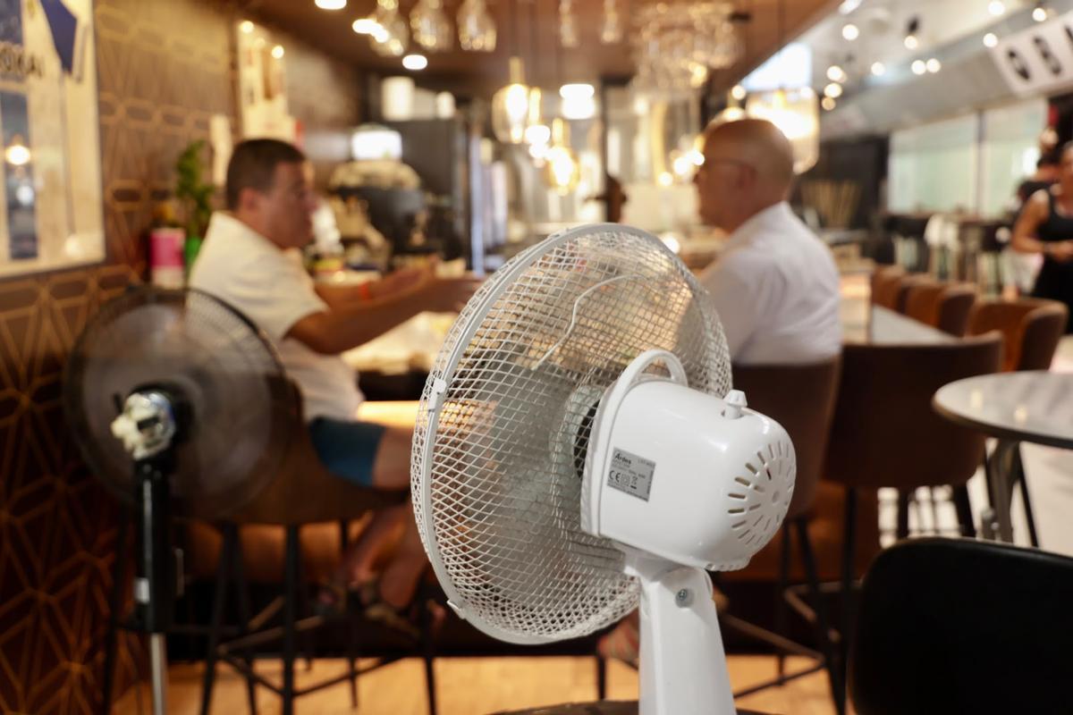 Sin aire acondicionado en plena ola de calor en el Mercado de Benalúa