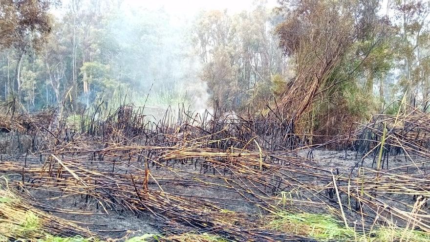 Extinguido el incendio en Guaro, que ha afectado a 4,6 hectáreas de matorral y vegetación de ribera