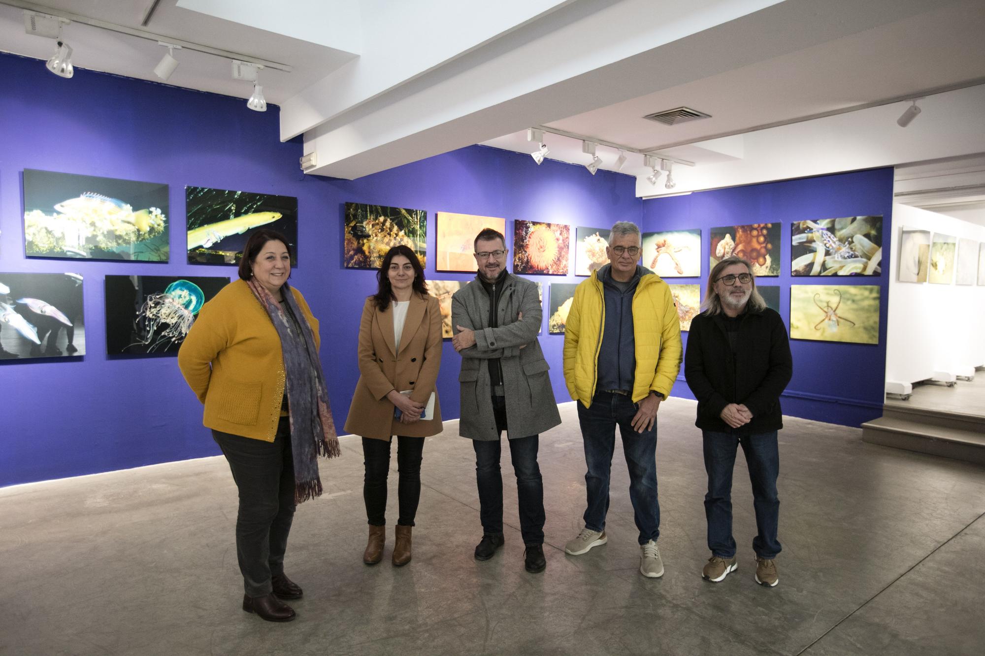 Exposición de fotografía submarina del Port de Sant Miquel en  sa Nostra Sala de Joan Costa