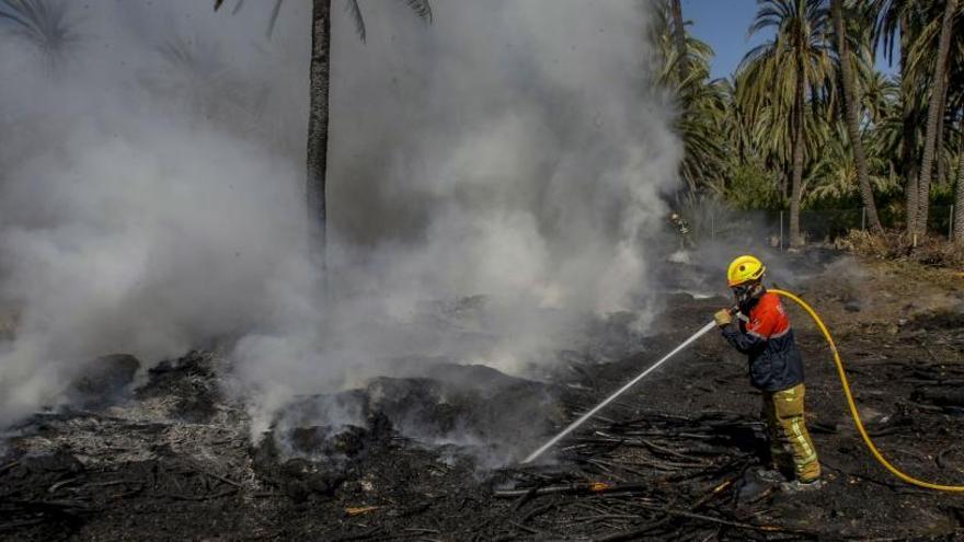 Incendio en el Palmeral de Elche