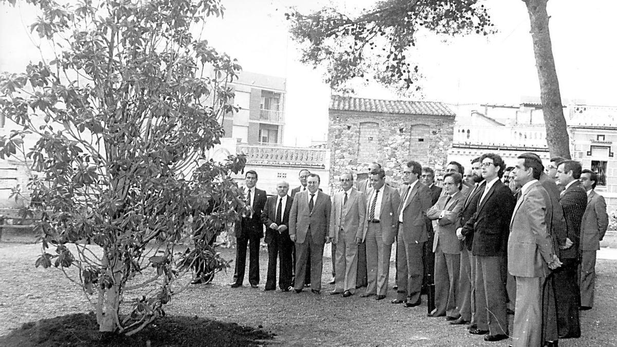 Los negociadores del Estatut plantaron un simbólico magnolio en Benicàssim tras el acuerdo.