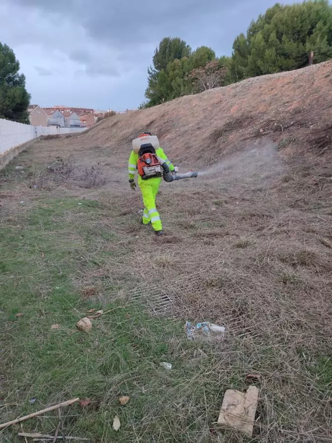 Plaga de ratas en los barrios junto a las vías del tren de Xirivella