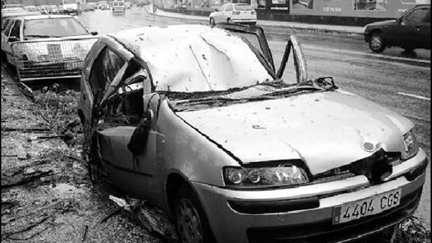 Un turismo quedó destrozado en Pontevedra tras caerle encima un árbol. / RAFA VÁZQUEZ