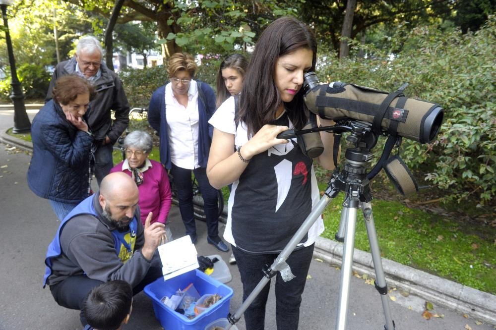 Día Mundial de las Aves en A Coruña