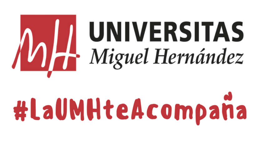 Programa de voluntariado de la UMH