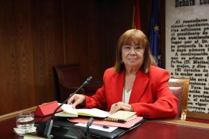 Narbona insiste en que desconocía las gestiones de Leire Díaz