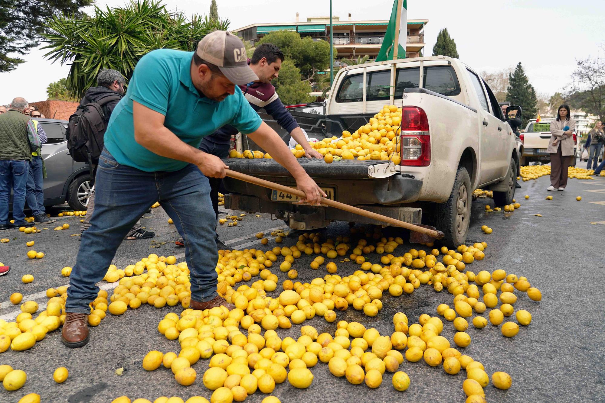 Concentración de agricultores en las puertas de la Subdelegación de Gobierno de Málaga, en el Paseo de Sancha.