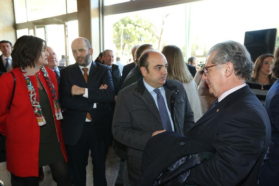 Entrega de los Premios Plaza de la Constitución