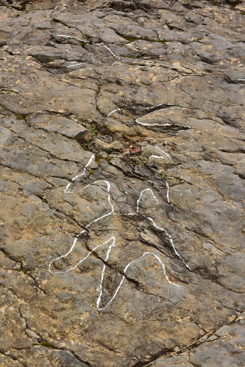 Más huellas de dinosaurio de los yacimientos, en Enciso, La Rioja