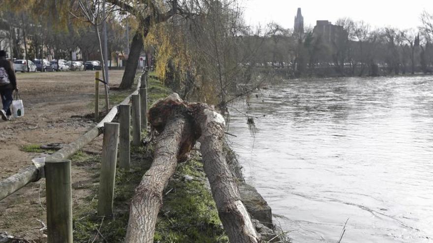 Girona i la conca del Ter recuperen la normalitat lentament