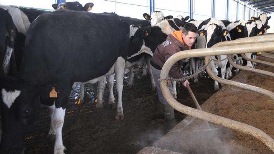 Las ayudas de la PAC vuelven a bajar un año más para el campo cordobés