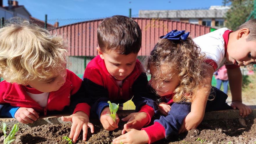 El Plan Social de Ence impulsa la concienciación medioambiental entre los más pequeños