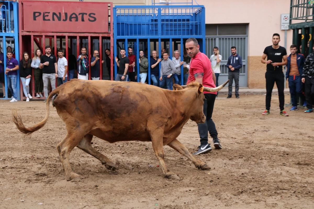 Fiestas patronales de Santa Quitèria de almassora III