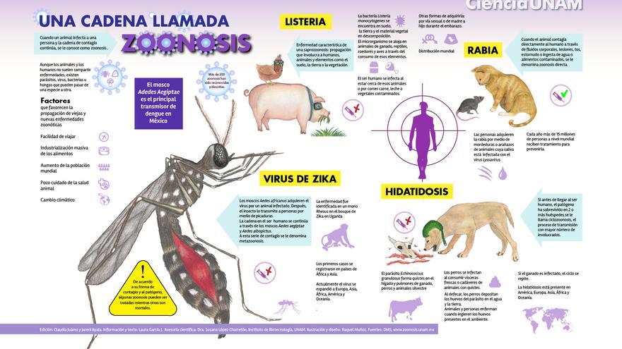 Zoonosis en alza
