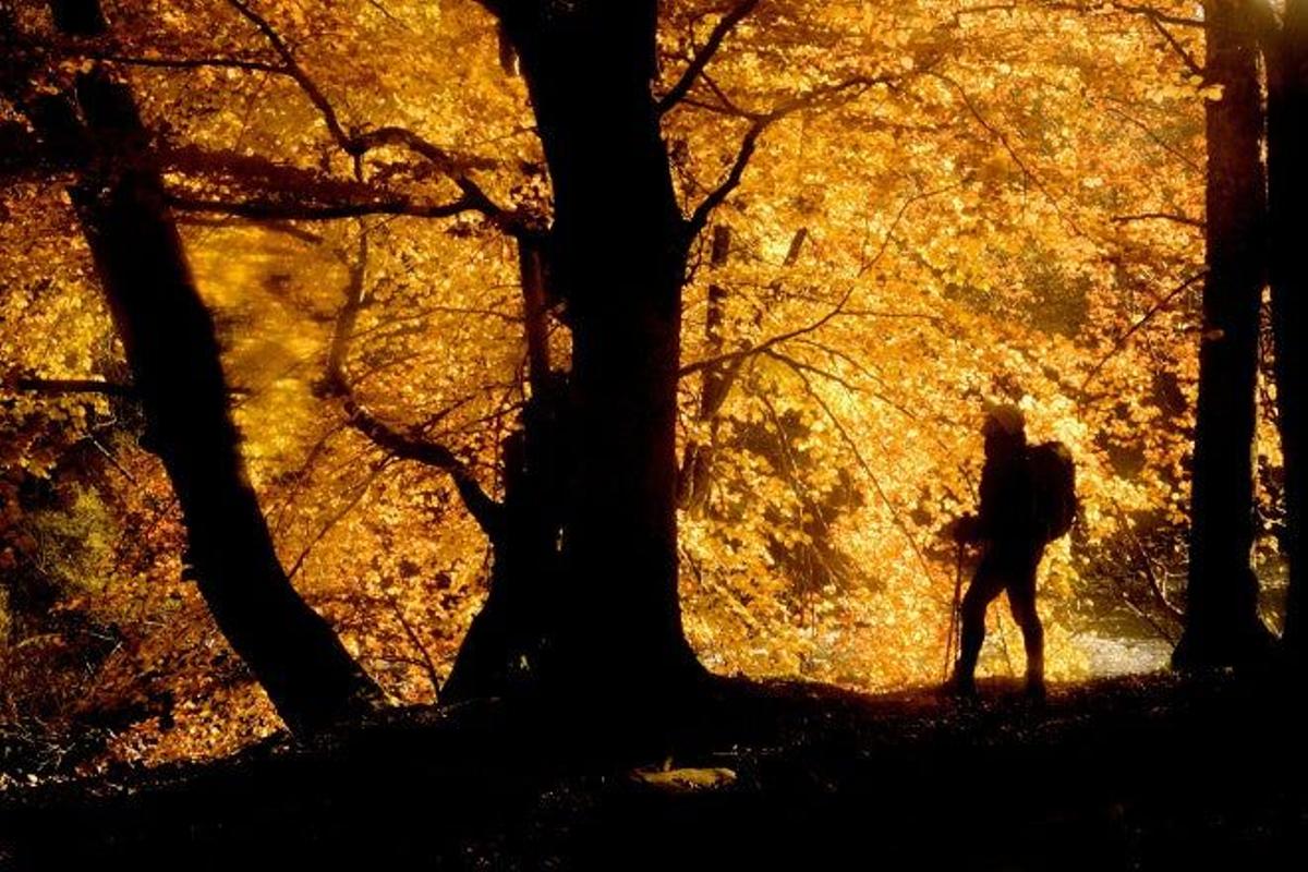 Sierra de Irati (Navarra)