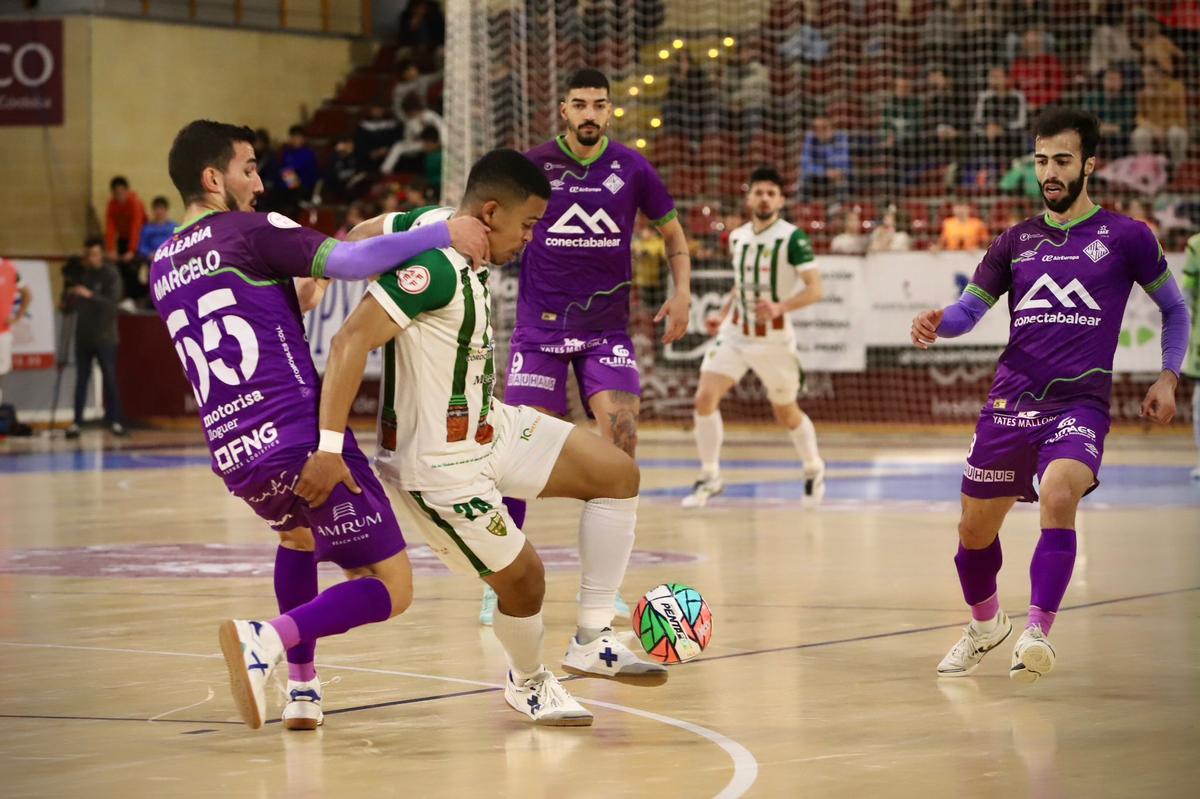 Córdoba Futsal Patrimonio-Mallorca Palma: el partido en imágenes Córdoba Futsal Patrimonio-Mallorca Palma: el partido en imágenes
