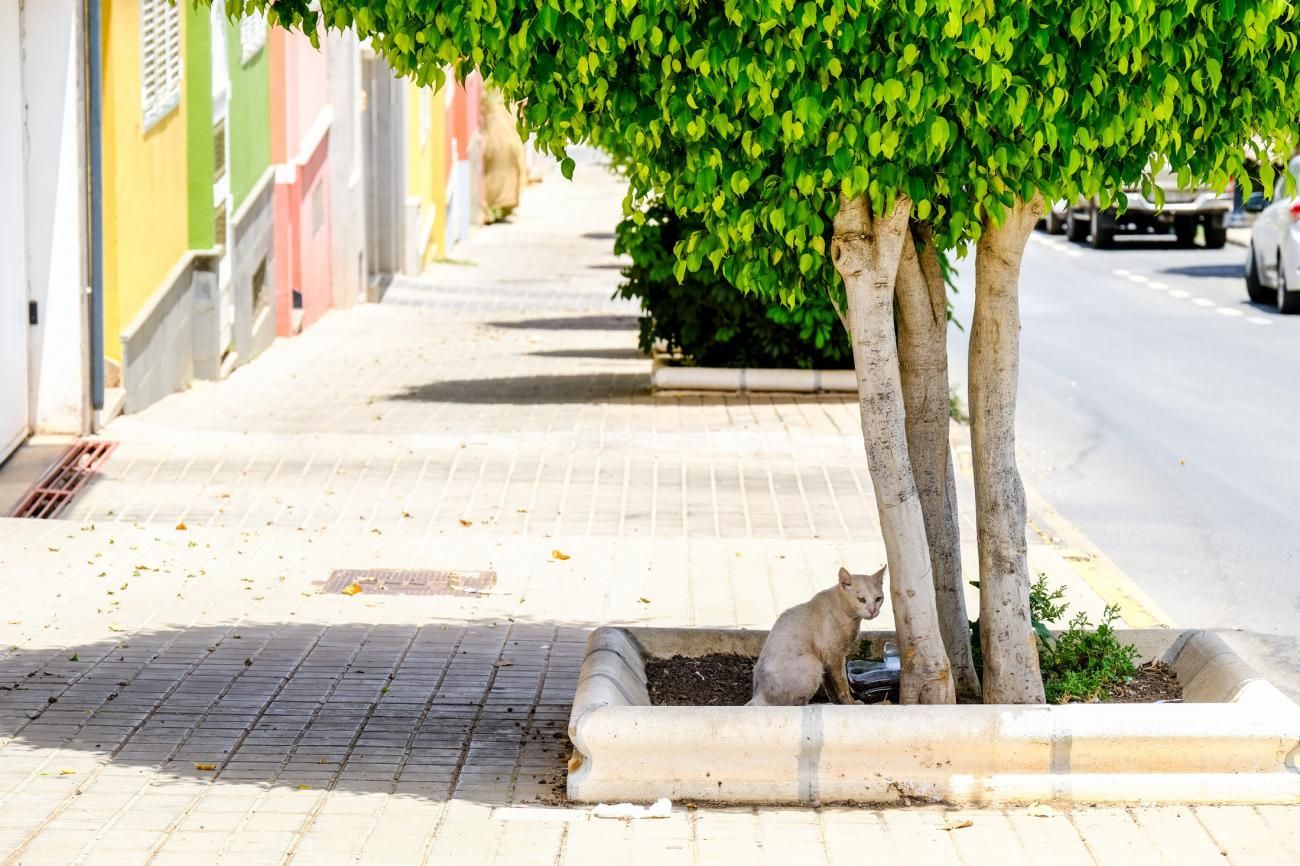 Calor en Gran Canaria (27/07/22)