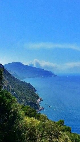 Alarm auf Mallorca: Waldbrand bei Andratx