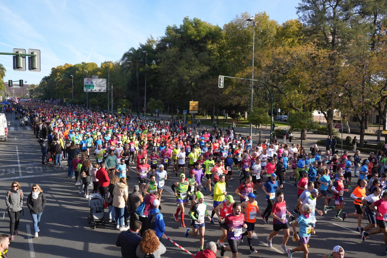 La Media Maratón de Córdoba en imágenes