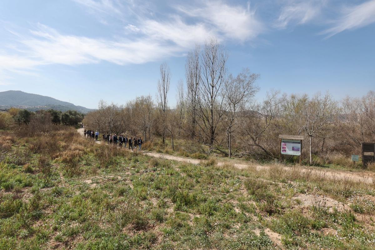 Área palustre, cerca del río Llobregat, en Molins de Rei.