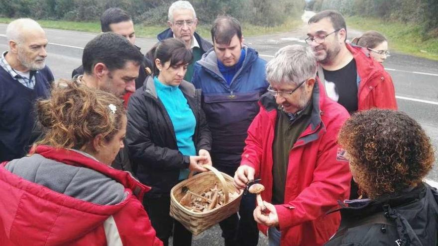 Salida al campo en los cursos de setas de Culleredo