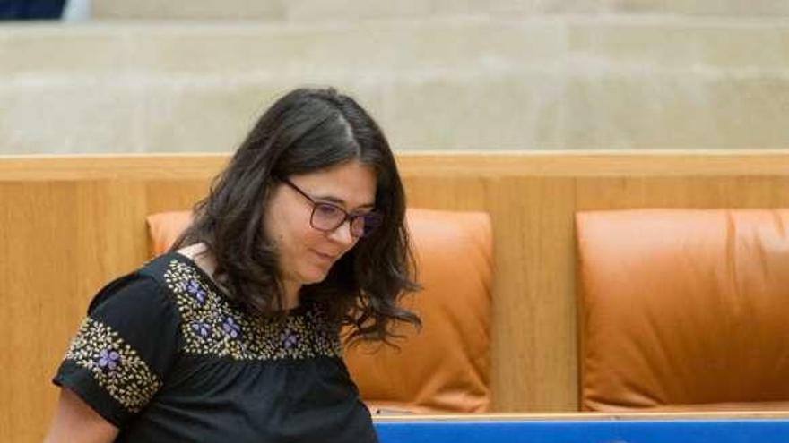 La única diputada de Podemos en La Rioja, Raquel Romero. // Efe