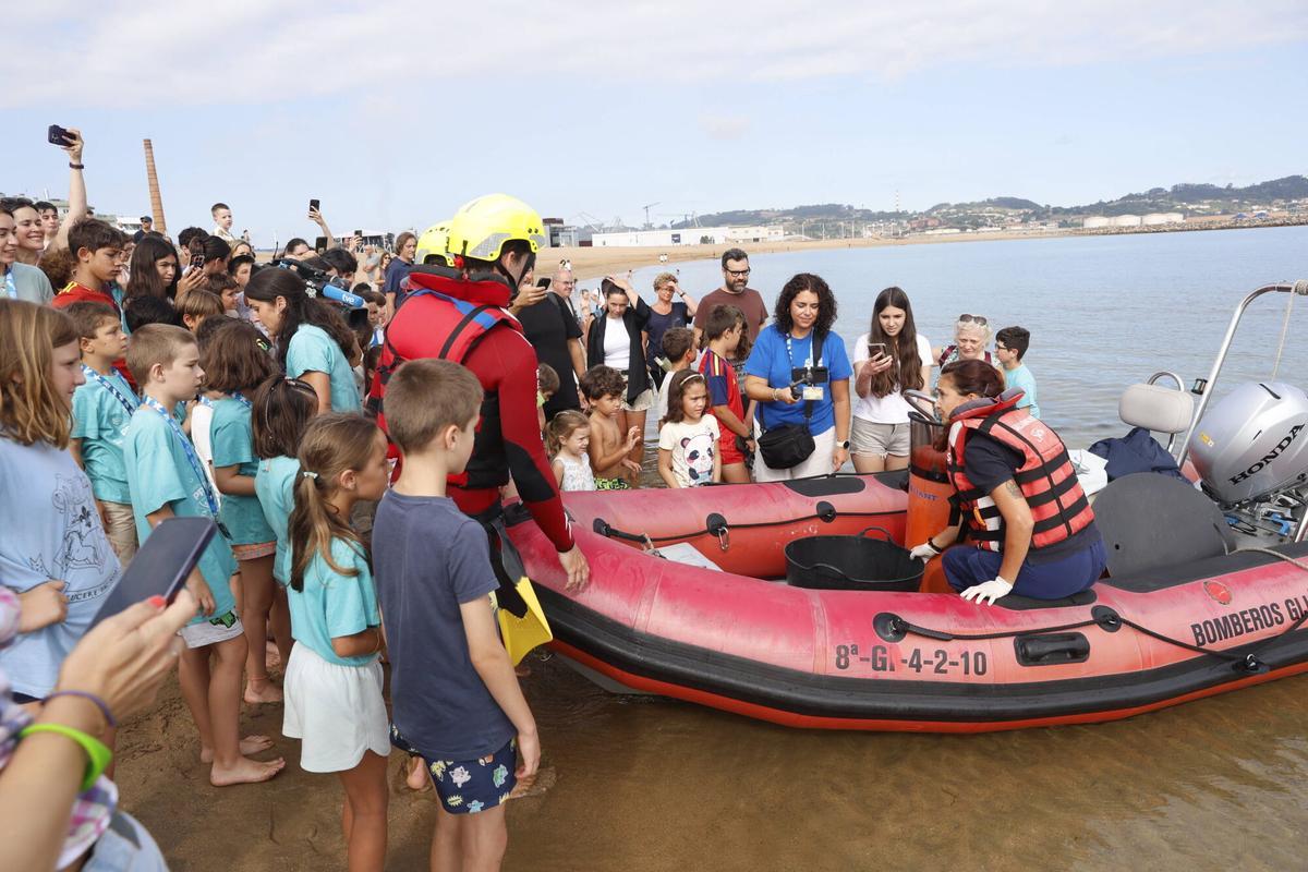 La vuelta al mar de la tortuga lora rescatada en Gijón tras recuperarse en el Acuario, en imágenes La vuelta al mar de la tortuga lora rescatada en Gijón tras recuperarse en el Acuario, en imágenes