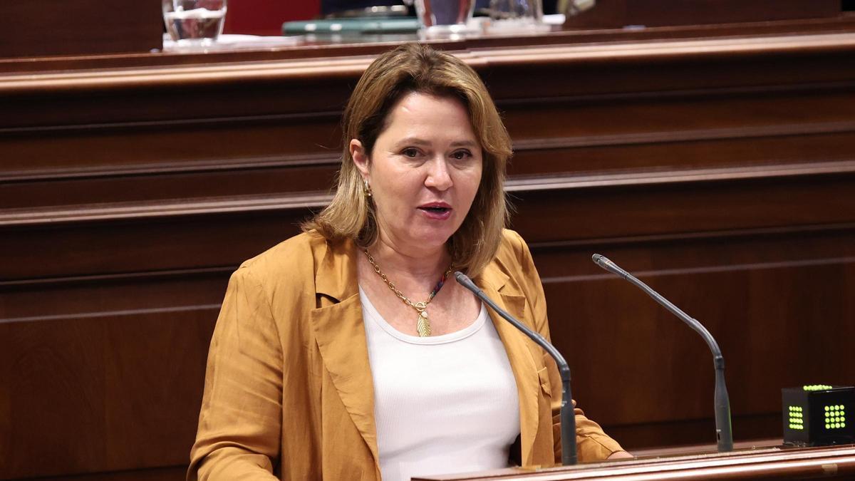 Alicia Vanoostende, durante una intervención en el Parlamento de Canarias.