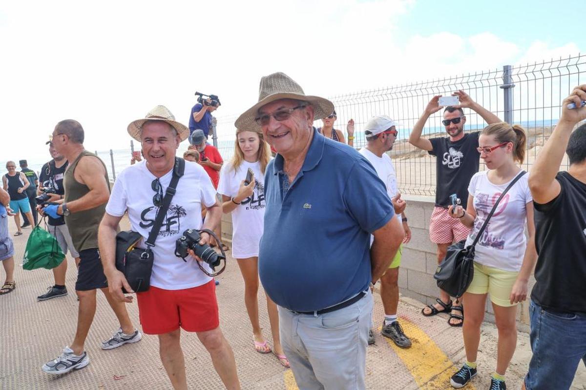 Un rebaño de ovejas recorren la antigua vía pecuar