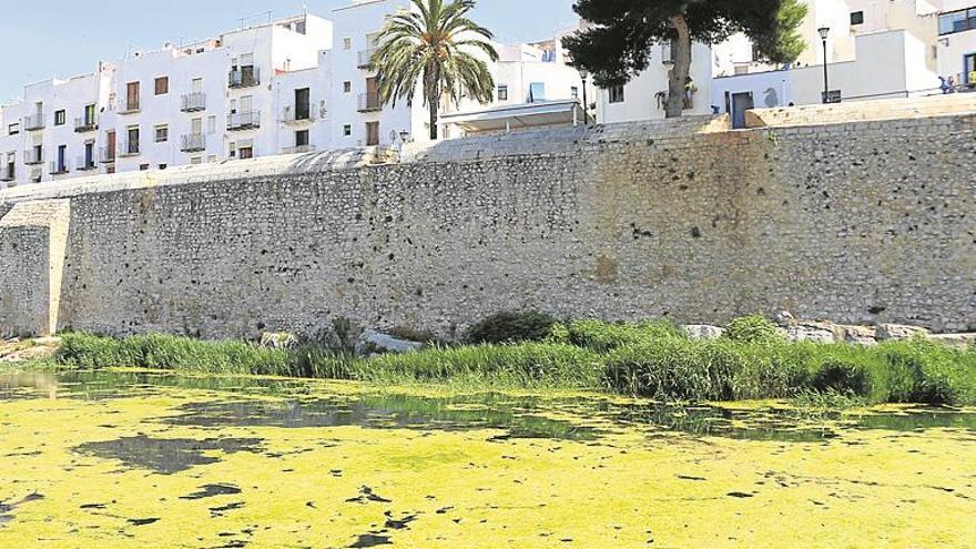 Peñíscola propondrá al Consell la limpieza de la balsa del puerto