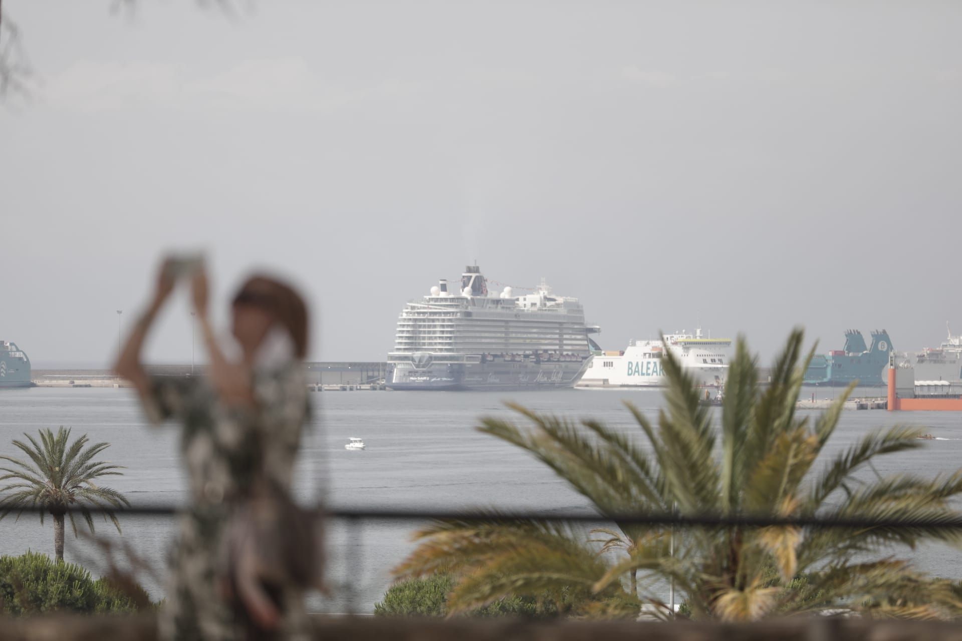 Vuelven los cruceristas a Palma