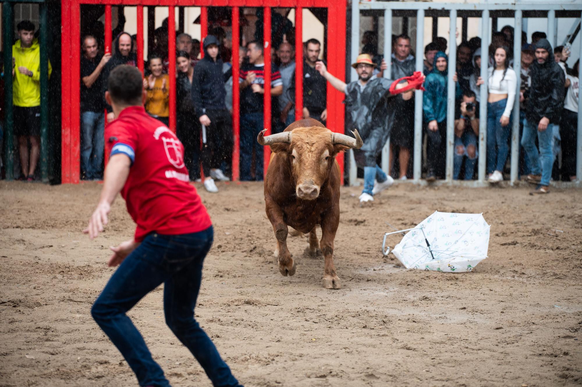 Las fotos de una tarde taurina de Almassora de luto y pasada por agua