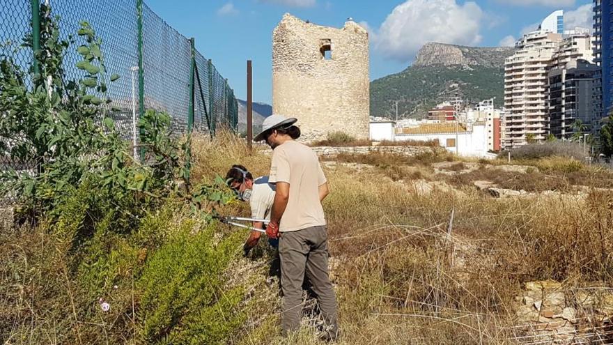 Las brigadas de Medio Ambiente hacen seguimiento de la microreserva de Banys de la Reina de Calp