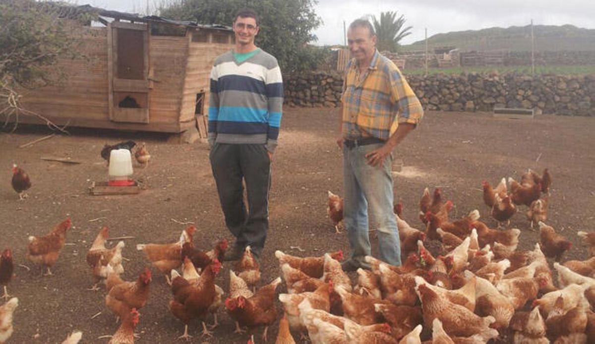 Una gallina con un huevo de récord