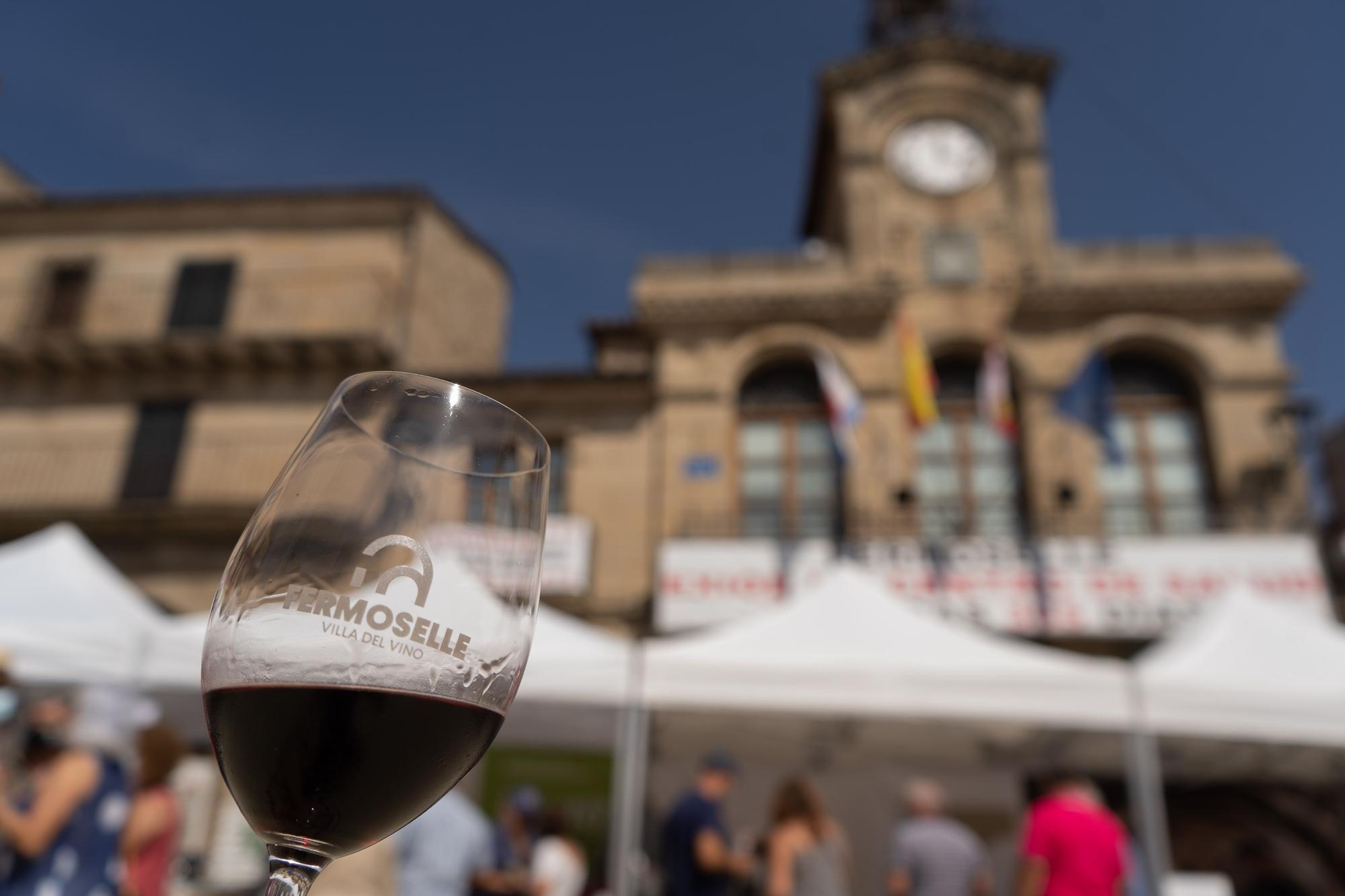 Fiesta de la Vendimia en Fermoselle