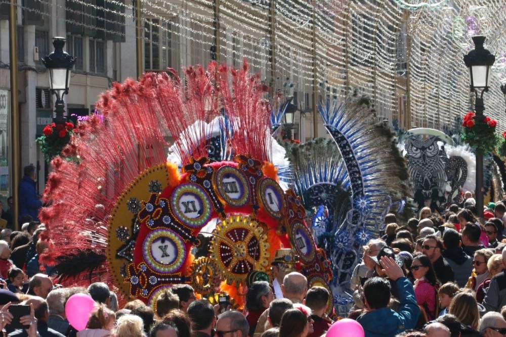 Carnaval de Málaga | Domingo de Piñata