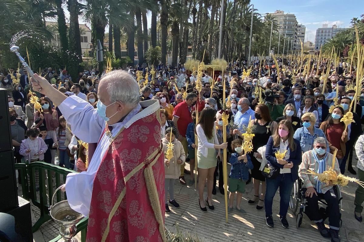 Domingo de Ramos en Elche Domingo de Ramos en Elche